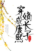 穿成康熙嫡长孙作者:瞄酒